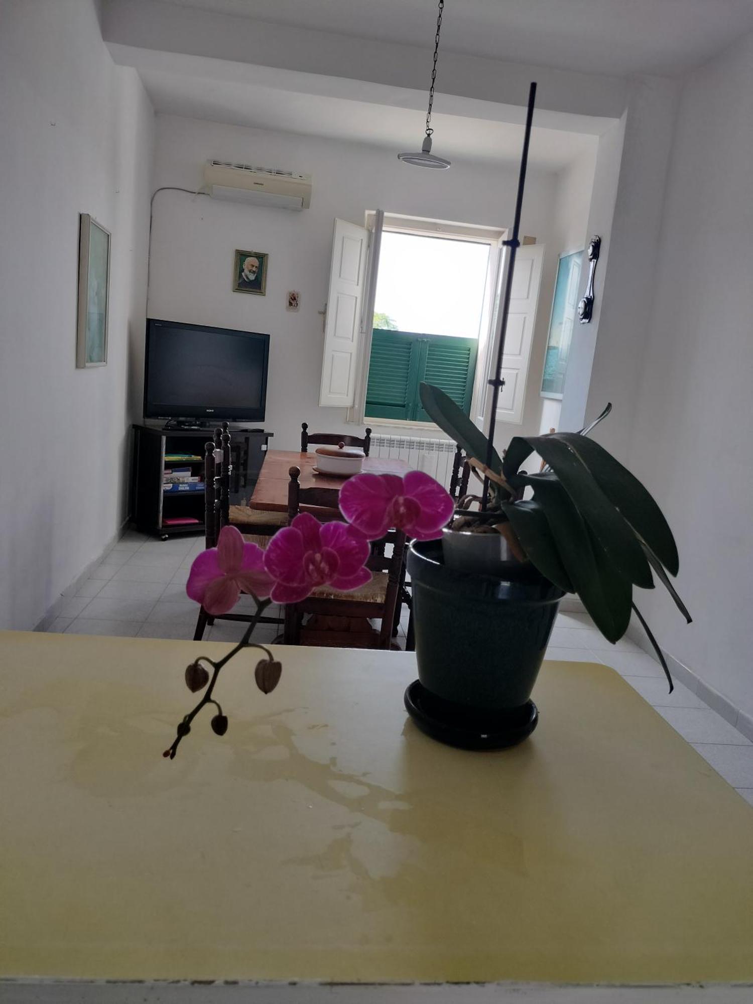 Apartament Sunny House Parghelia Zewnętrze zdjęcie